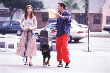 Bounce © Miramax Films. All Rights Reserved.