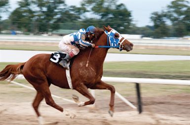 Secretariat © Walt Disney Pictures. All Rights Reserved.
