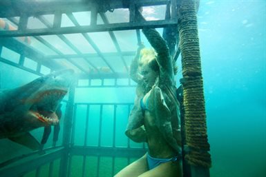 Shark Night 3D © Relativity Media. All Rights Reserved.