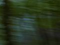 Teaser