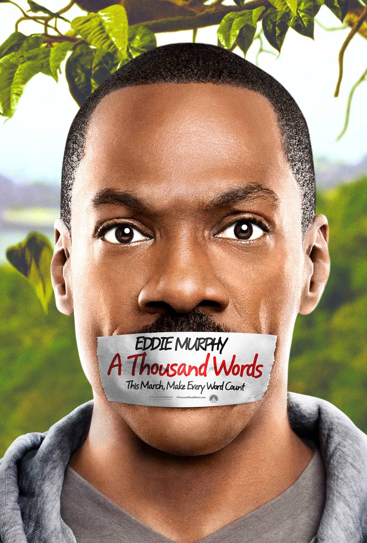 A Thousand Words Poster