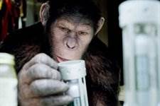 Contagion Scriptwriter Hired By Fox To Pen Rise Planet Of The Apes Sequel