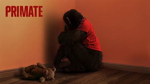 Win Passes to the Advance Screening of Primate Before It Hits Theaters