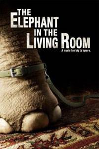 One of the Largest Growing Sub Cultures of Today’s Is Owning Exotic Animals, The Elephant In The Room Explores That World