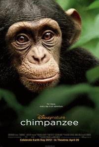 Do you want to enjoy the red carpet treatment at Disneynature’s CHIMPANZEE?