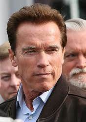 Arnold  Schwarzenegger to Star In Action/Thriller Ten