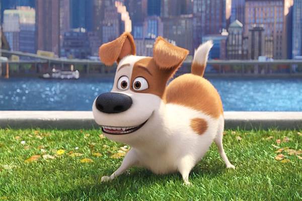 Secret Life of Pets Sequel in the Works fetchpriority=