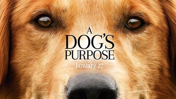 A Dog's Purpose Producer Explains Feelings Over Film's Controversy fetchpriority=