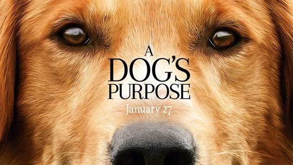 A Dog's Purpose Producer Explains Feelings Over Film's Controversy