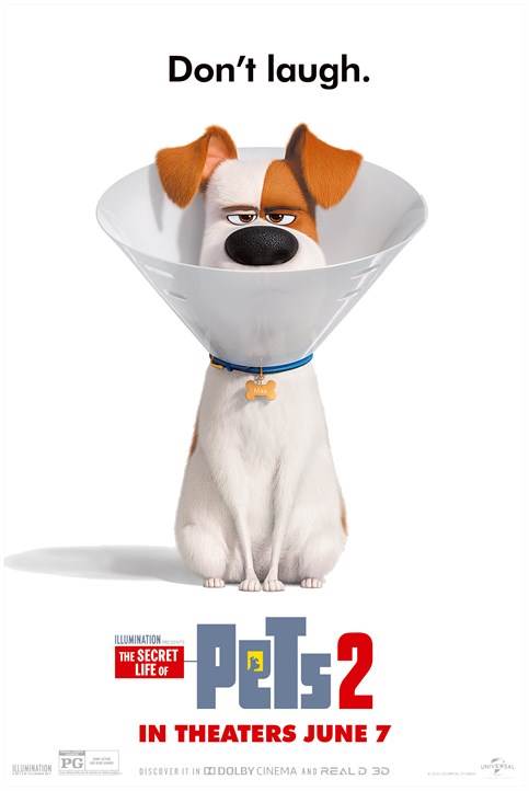 Share Your Pet's Photo and Lives on New Secret Life of Pets 2 Website