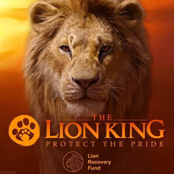 The Walt Disney Company Announces Protect the Pride Campaign to Save Lions in Africa