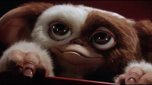 Animated Gremlins Series Given 10-Episode Order fetchpriority=