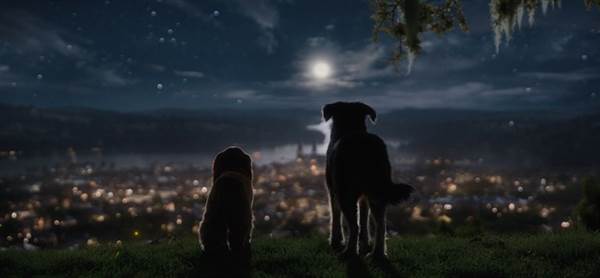 Disney+ Offers Glimpse of Live Action Lady and the Tramp