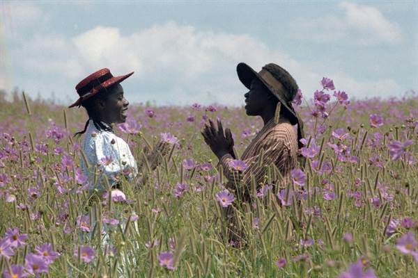 The Color Purple Returns to Theatres This February for Special Event