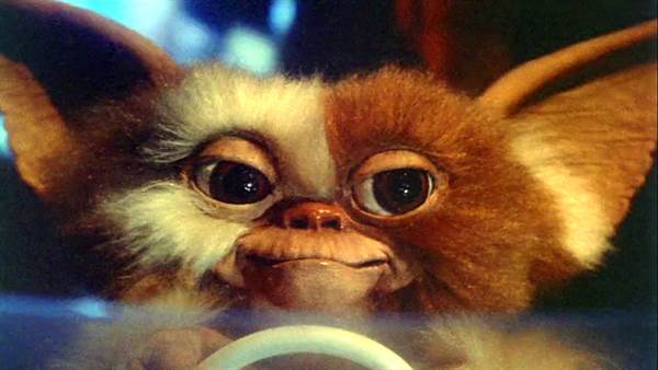 Gremlins Voice Cast Announced for Animated Series fetchpriority=