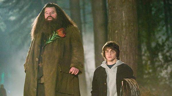 Harry Potter Actor Robbie Coltrane Dies at 72 fetchpriority=