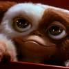 'Gremlins 3' Set for 2027 Release with Chris Columbus Directing, Spielberg Producing