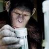 Contagion Scriptwriter Hired By Fox To Pen Rise Planet Of The Apes Sequel