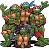 Teenage Mutant Ninja Turtles Film Shutdown