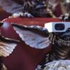 Gremlins Reboot in the Works?