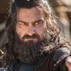 Ray Stevenson Sails on to STARZ Black Sails