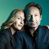 Could We See Another Season of X-Files?