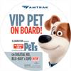Amtrak and Universal Holding Pets Ride for Free Promotion