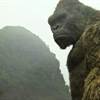 Adam Wingard to Direct Godzilla vs. Kong
