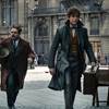 Fantastic Beasts 3 Production Pushed Until Fall