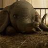 Disney Offering Sneak Peeks of Dumbo Beginning This Weekend
