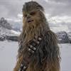 Chewbacca Actor Peter Mayhew Dies at 74