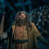Universal Orlando Resort Reveals Photo of New Hagrid Animatronic