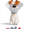 Share Your Pet's Photo and Lives on New Secret Life of Pets 2 Website