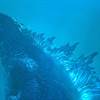 Godzilla Joins Instagram and Twitter Before Heading to Comic-Con!
