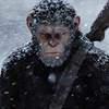 Disney to Release New Planet of the Apes Film