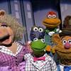 New Muppets Comedy Series Not Going Ahead at Disney+
