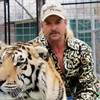 Fox Set to Air TMZ Produced Tiger King Special
