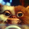 Gremlins Voice Cast Announced for Animated Series