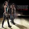 Finishing out the Terminator: The Sarah Connor Chronicles