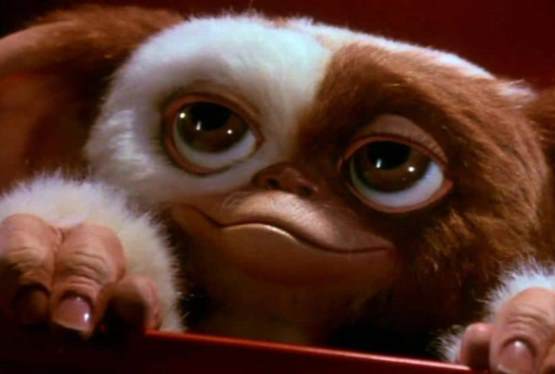 'Gremlins 3' Set for 2027 Release with Chris Columbus Directing, Spielberg Producing