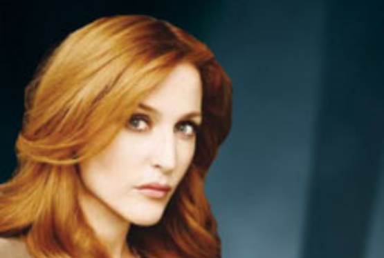 X-Files Star Gillian Anderson Holds Charity Auctions on eBay