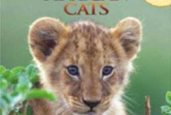 Win a Pair of African Cats Books: Sita the Cheetah & A Lion’s Pride From Disneynature’s African Cats