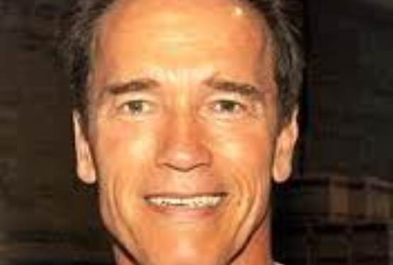 Schwarzenegger and Satllone Team Up for The Tomb