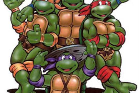 Teenage Mutant Ninja Turtles Film Shutdown