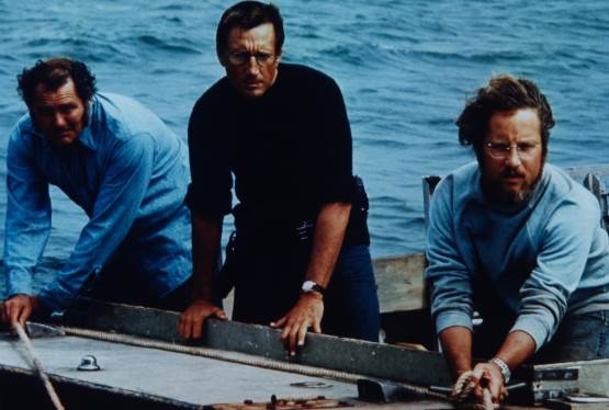 JAWS Fans From Around The World Descended Upon Amity Island