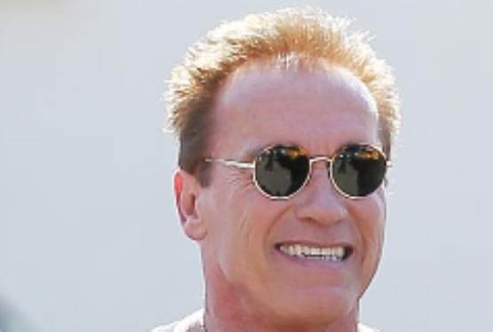 Arnold Schwarzenegger In Talks to Star in Toxic Avenger