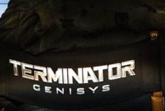 Arnold Schwarzenegger Reveals Latest Terminator Film Title