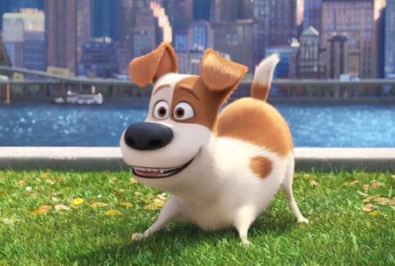 Secret Life of Pets Sequel in the Works