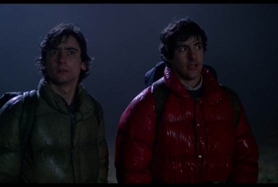 An American Werewolf in London to Get Reboot
