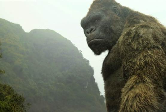 Adam Wingard to Direct Godzilla vs. Kong